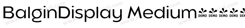 BalginDisplay Medium字体转换